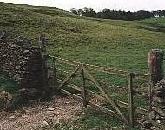 Pasture gate
